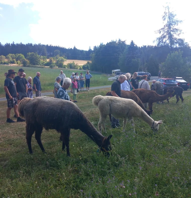 30 Gäste genießen entspannte Stunden am Mitimino-Lamahof in Döbrastöcken